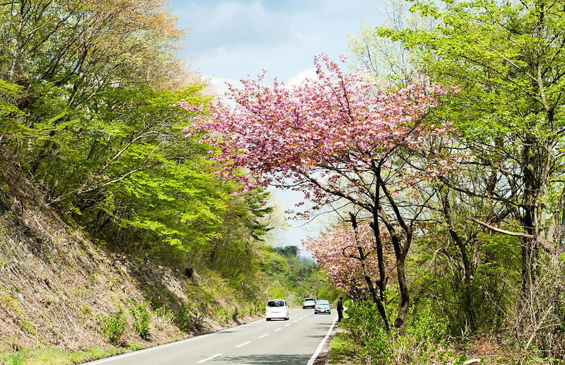 Япония весной - Апрель-Май (Golden Week) 2016