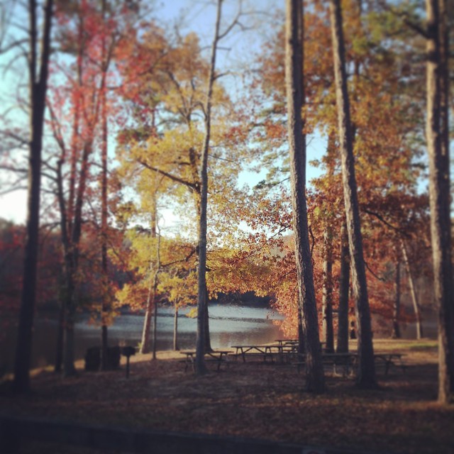 Enjoy the beauty of the fall by the lake at Bear Creek Lake State Park, Virginia.