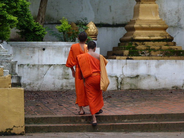 Monjes budistas 