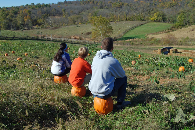 Fall Farm Days at Sky Meadows State Park,Virginia