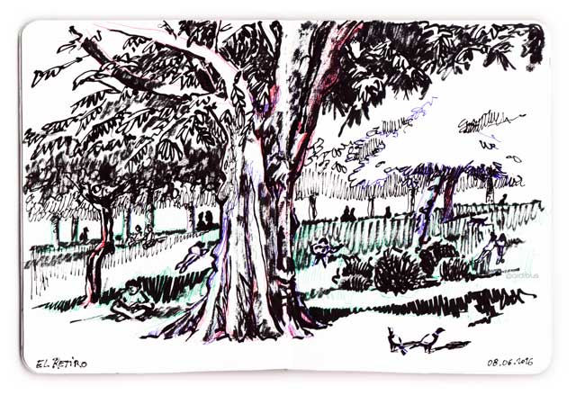 tree Sketch