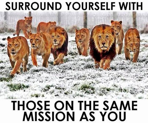 surround-yourself-those-same-mission-life-daily-quotes-sayings-pictures