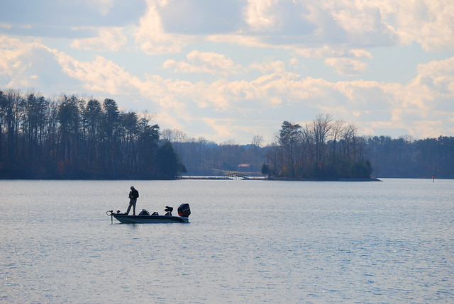 Tournaments are just part of the fun fishing at Smith Mountain Lake State Park