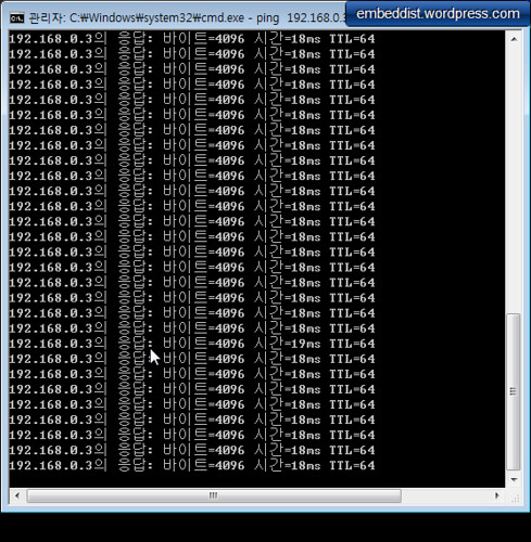 Command Prompt ping test