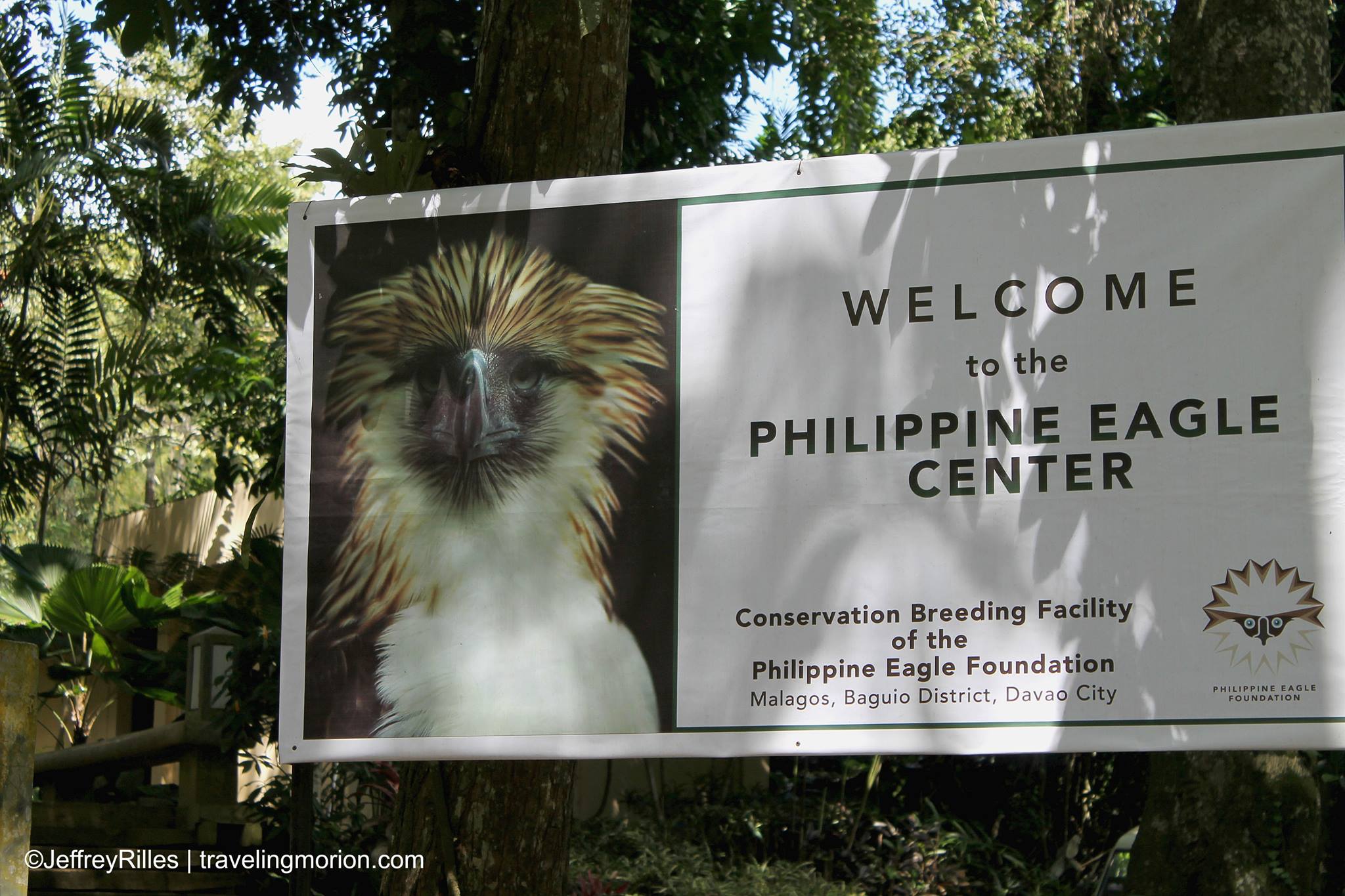 Philippine Eagle Center in Davao