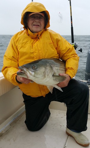 Photo Courtesy of Wayne Young, Wayne Young holding a striped bass