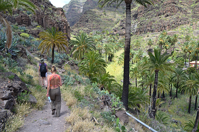 On the waterfall trail, Valle Gran Rey, La Gomera, Canary Islands