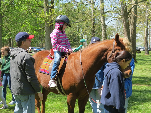 Pony rides at the Eagle Festival at Mason Neck State Park, Virginia