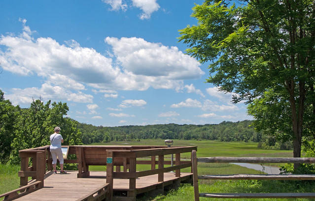 Everyone can enjoy the view at York River State Park, Virginia