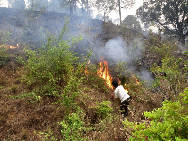 उत्तराखण्ड के जंगलों में आग लगना एक विकट समस्या है
