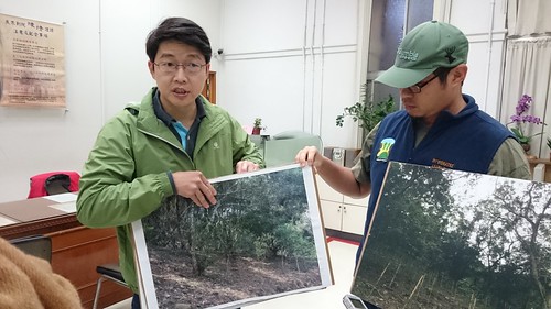 蔡智豪出示照片，當地原生植物的幼樹全遭「被除草」