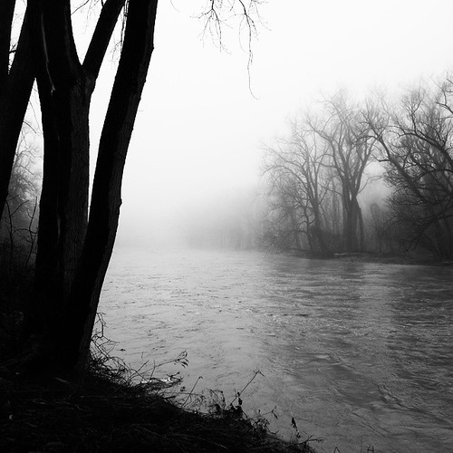 Foggy and floody morning. #wny