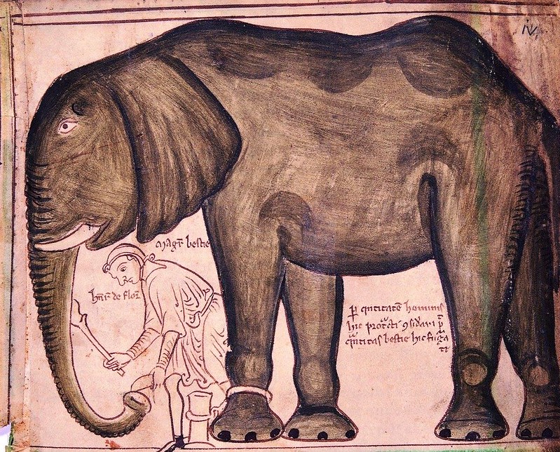 До и после слона. Атака слонов в год рождения Мухаммада