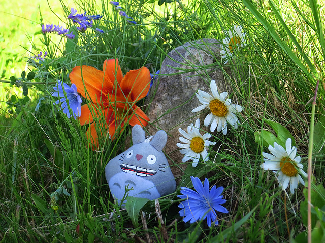 Day #180: totoro is in the Temple of Flowers