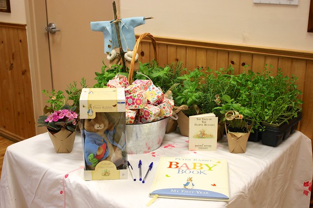Peter Rabbit Theme Baby Shower Sign In Table and Favors - Daily