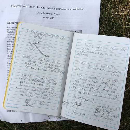 Picture shows a field notebook open with the reflections written down. 