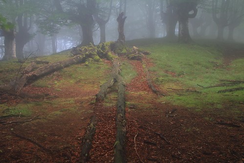 Parque Natural de #Gorbeia #Orozko #DePaseoConLarri #Flickr - -495