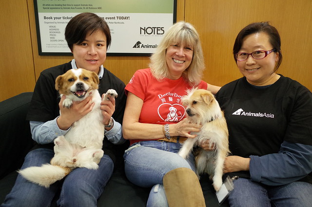 Lelly, Muddie with Jill and Animals Asia staff at Hong Kong office