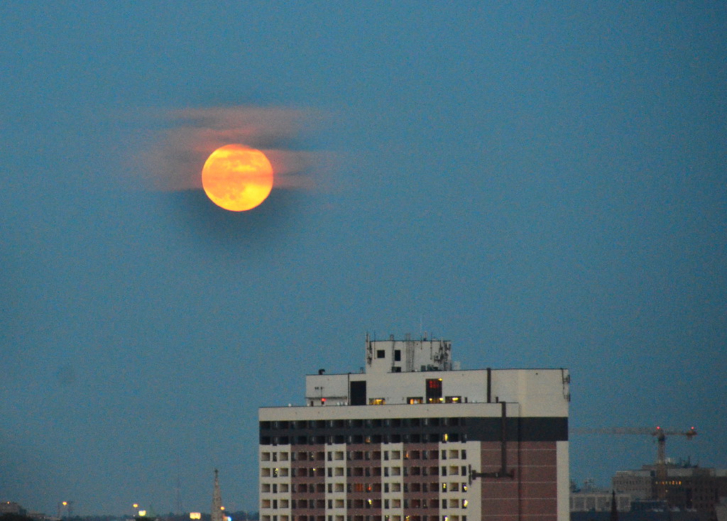 Glowing Strawberry Moon on the Rise