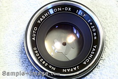 Yashica Auto Yashinon-DX 50mm f/1.7