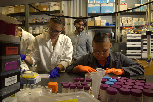 Students working in the lab while Steven Mansoorabadi observes them from behind