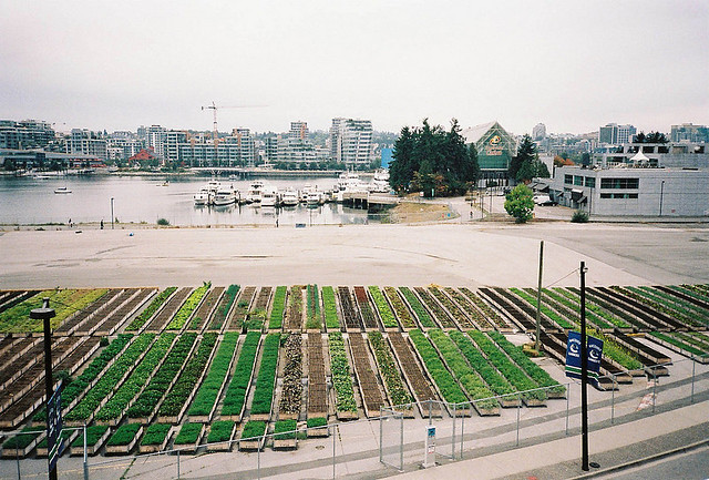 Photo of Sole Food urban farm in Vancouver