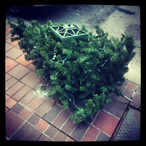 I guess it's never too late to take down your Christmas tree?