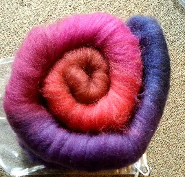 Into The Whirled Falkland Wool Carded Batt - Excursion Colorway - Spiral View