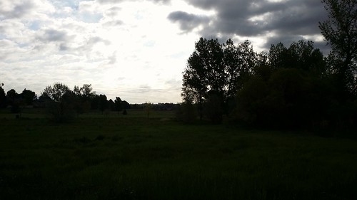 #tommw 52F light breeze. Mostly cloudy