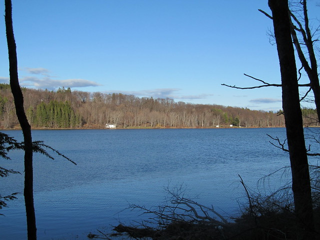 Myosotis Lake