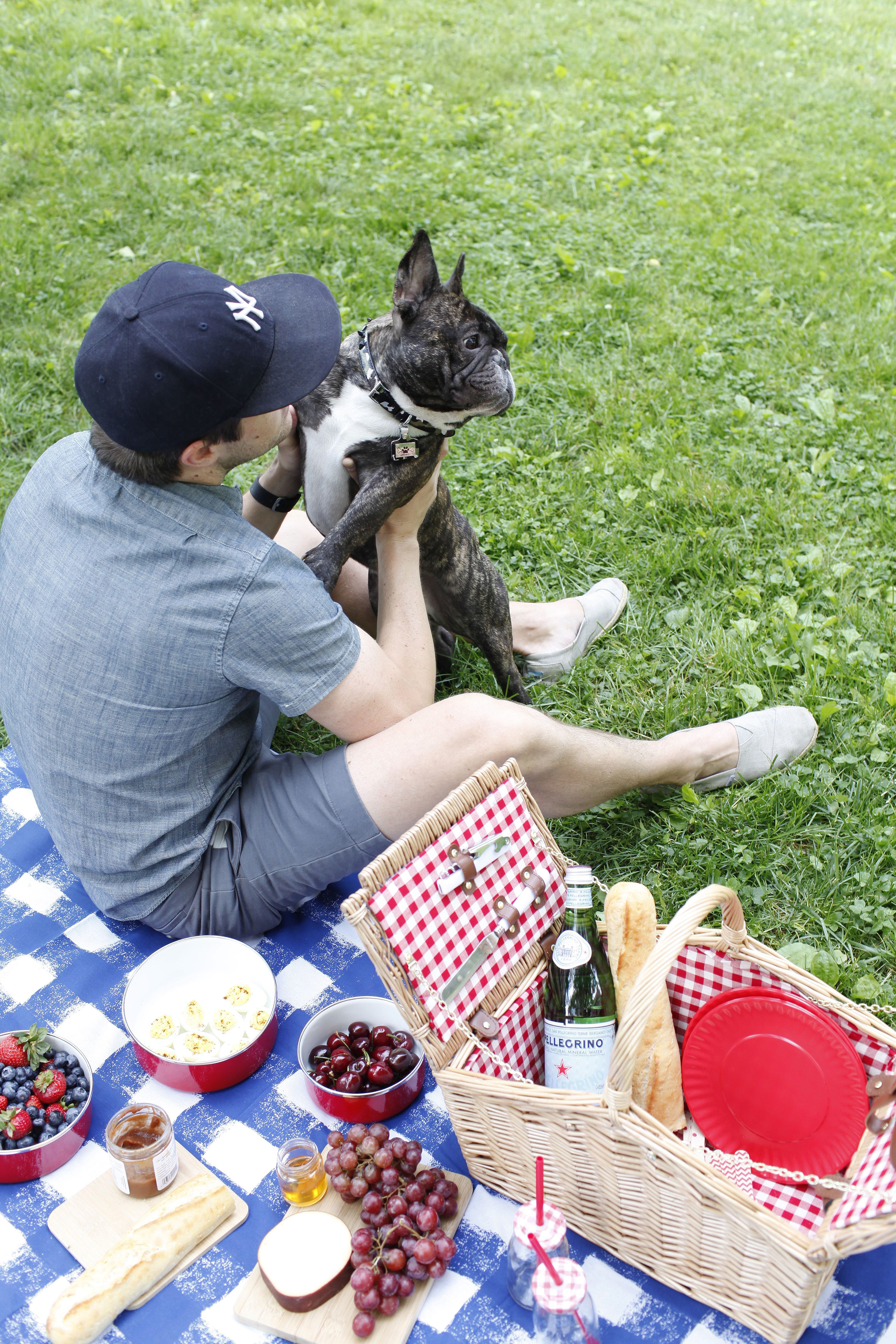 picnic in the park with picnic blanket and picnic basket in Central Park during the Summer