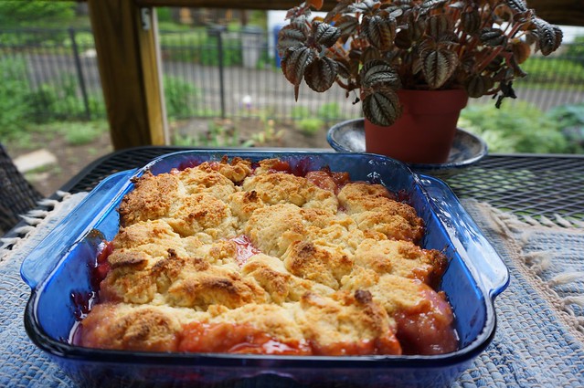 A low-angle shot of a full pan of cobbler. In the background we can see a houseplant sitting on the ledge of the screen porch, with a small garden behind.