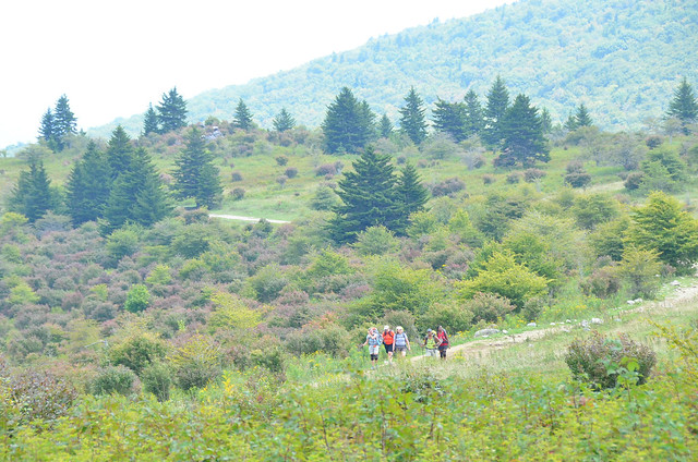 Hiking is a popular recreational activity at Grayson Highlands State Park with the beauty at the park