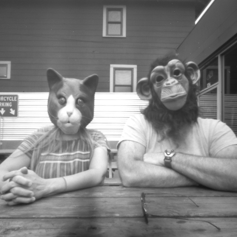 The cat and the monkey