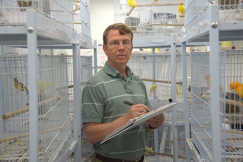 Geoff Hill with notepad looking at the camera between two bird cages