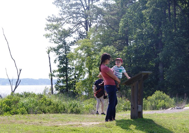 Even kids like to visit Woodstock Pond Trail at York River State Park, Virginia