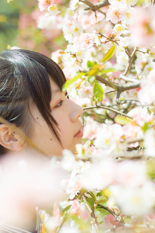 桜 Sakura Portrait