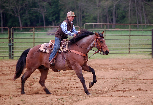 Mark E. Hufeisen Horse Complex at New River Trail State Park is a perfect venue for horse shows or rodeos