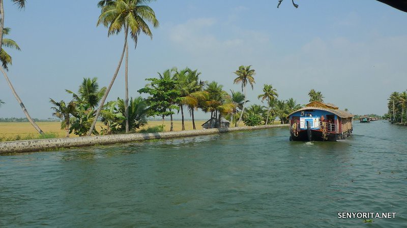 Cruising along the Backwaters of Kerala in India