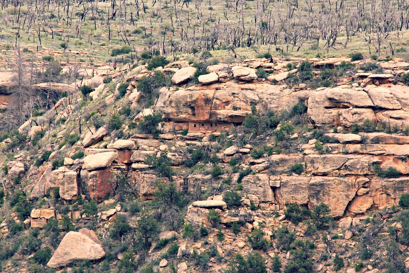 Mesa Verde cliff dwelling