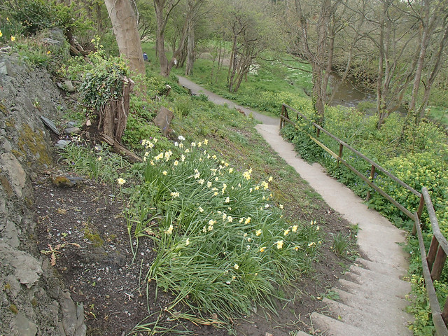 slope-in-early-may