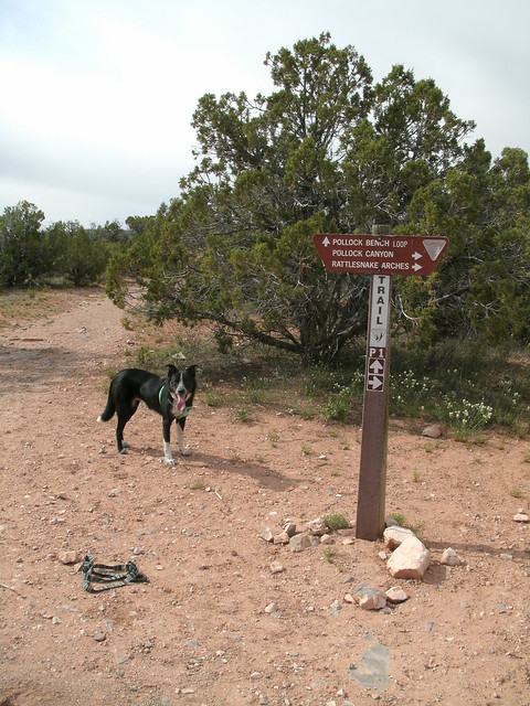 Pollack Bench trail sign