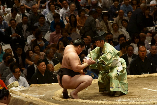 白鵬 vs 栃煌山. Sumo stadium, Tokyo, 15 May 2015. 232