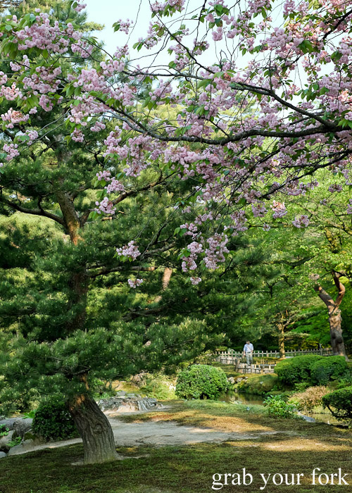 Paths and greenery at Kenrokuen Garden in Kanazawa, Japan