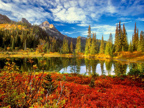 The Olympic National Forest in fall. (Photo Credit: US Forest Service.)