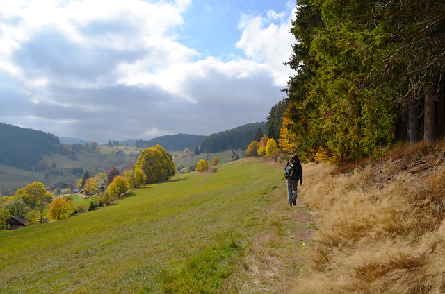 Walking in the Black Forest, Germany