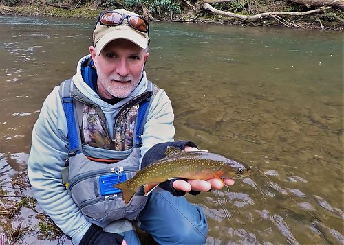 Man holding brook trout