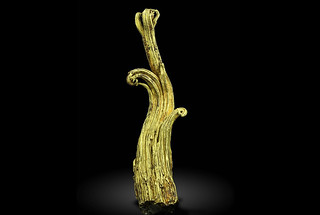 The Ram’s Horn wire gold specimen, Harvard University Photo.  