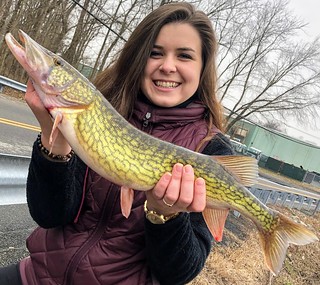 Photo of woman holding chain pickerel