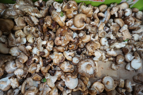 mushrooms markthalle zurich